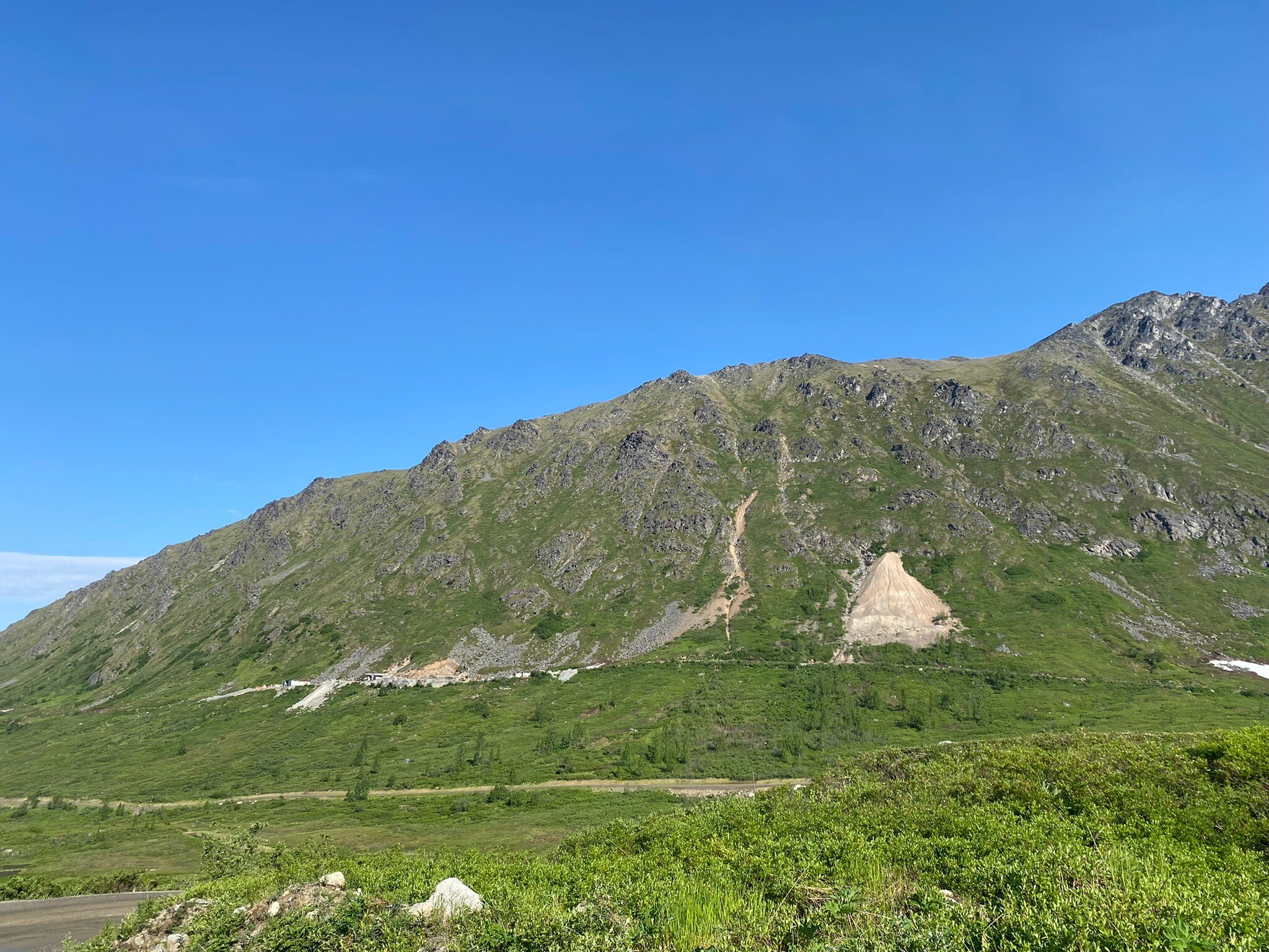 Lucky Shot in summer