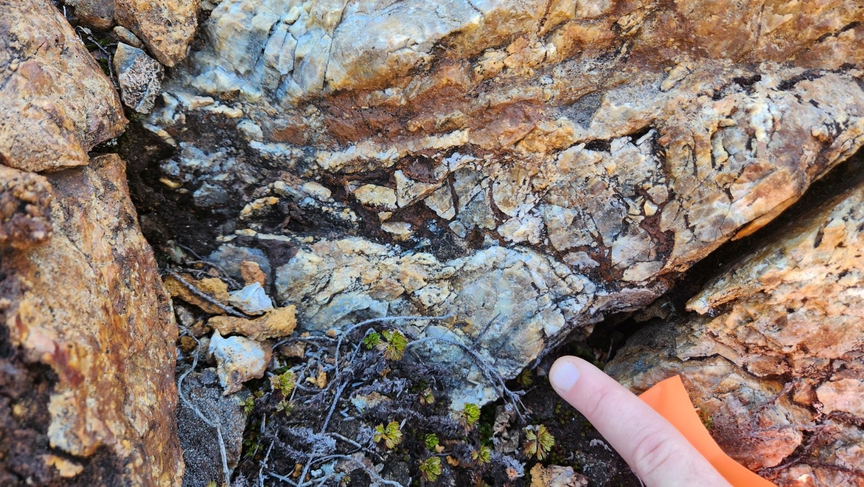 Sphalerite brecciating barite in outcrop