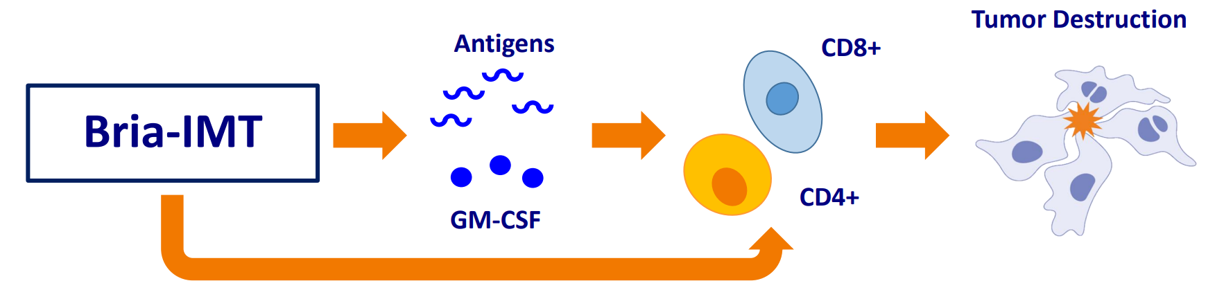 Screenshot 2025-12-02 182038