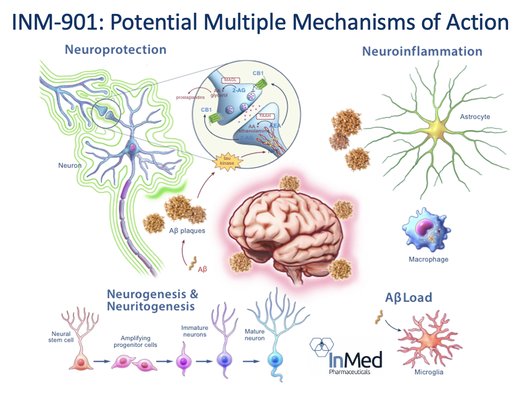 thumbnail_image001-1